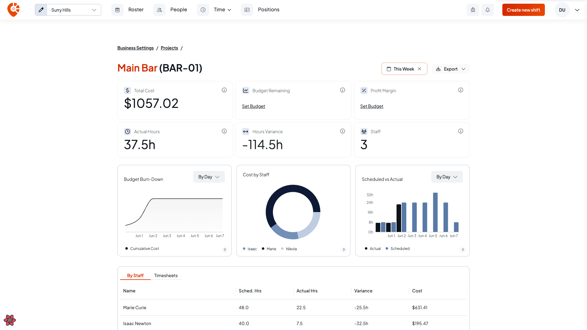 A project reporting page showing stat tiles, the budget burn-down, cost by staff, and scheduled vs actual charts