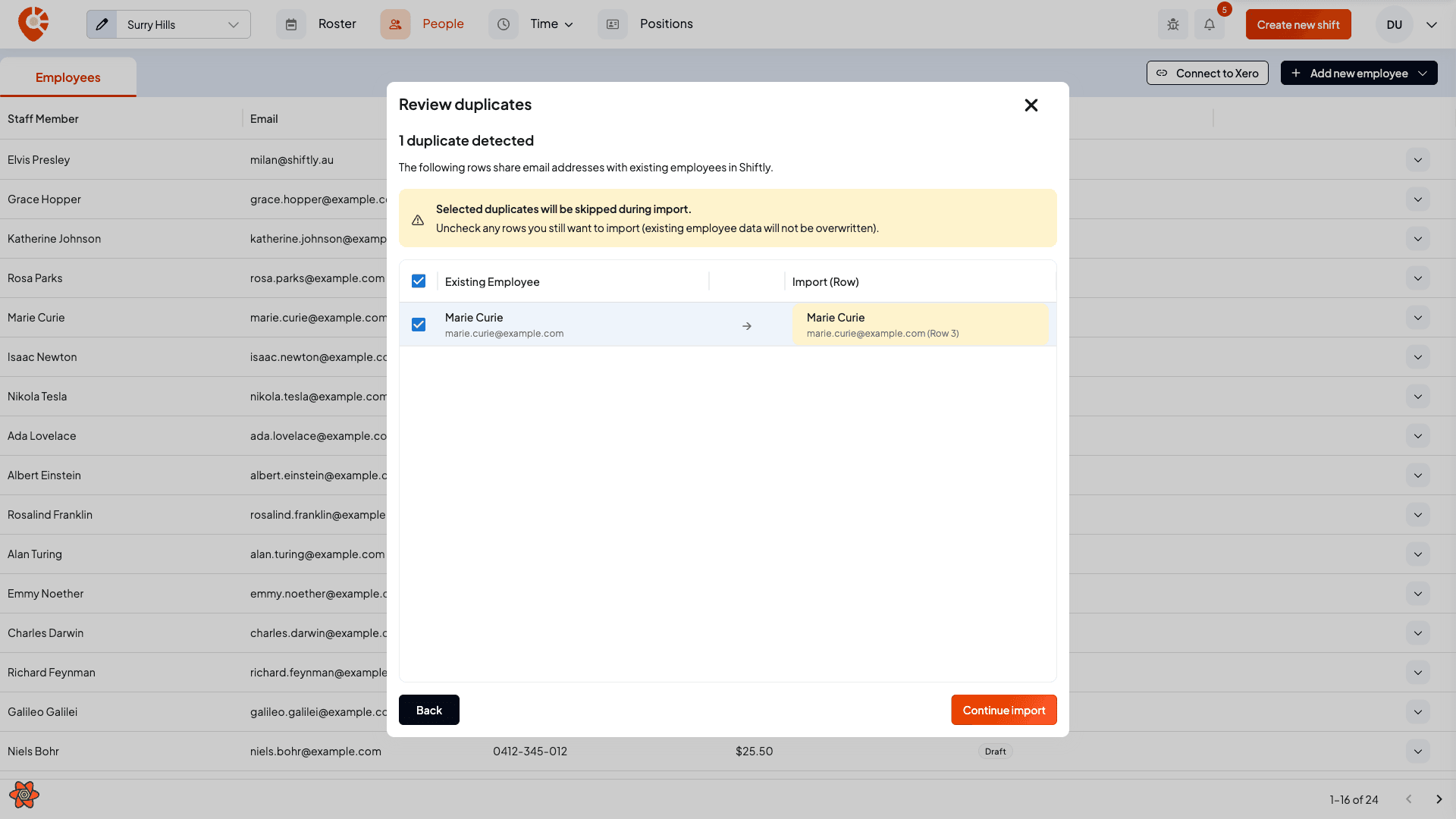 The Review duplicates step matching an imported row to an existing employee, set to be skipped, with a note that existing data will not be overwritten